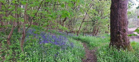 Linwood Riverside Walk