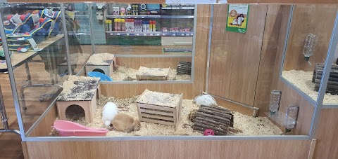 Pets at Home Northampton