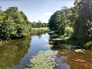 Anderson's Meadow