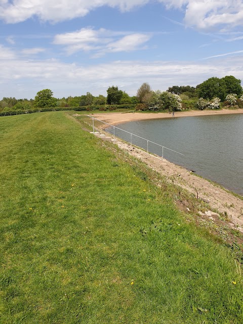 Jacksons Brickworks Local Nature Reserve