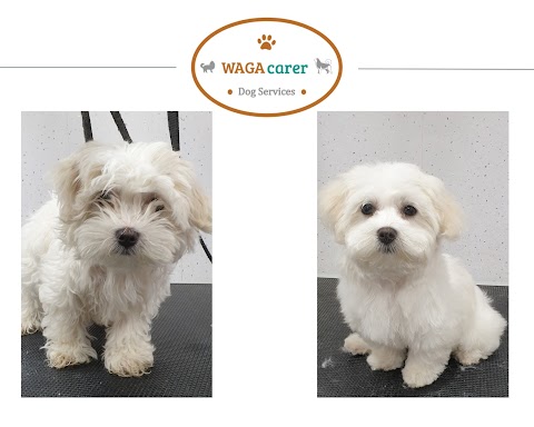 WAGAcarer Dog Grooming & Services