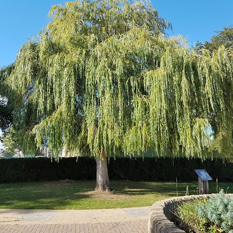 Ravensknowle Park