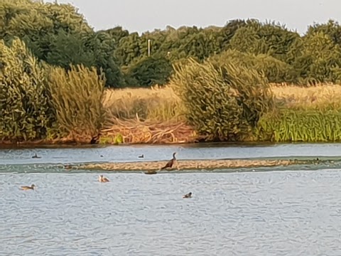 Tameside Local Nature Reserve