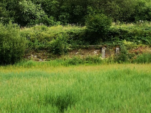 WaterWorks Centre Nature Reserve & Middlesex Filter Beds