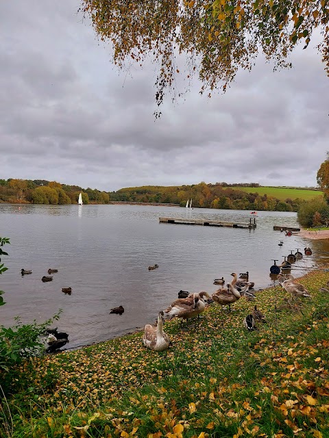 Ulley Country Park