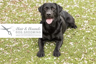 Hair and Hounds Dog Grooming