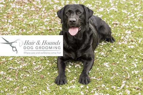 Hair and Hounds Dog Grooming