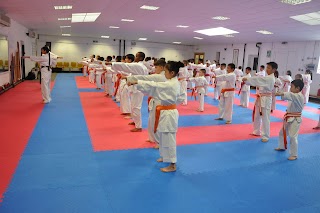 Zen-shin Martial Arts Academy Sutton Coldfield