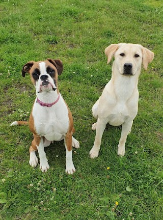 Burnley Pet Boarding Centre