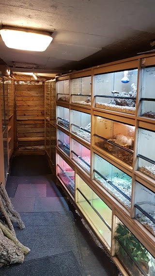 Cold Blooded Reptile Centre
