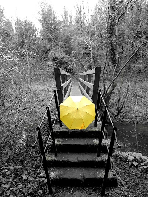 Cadzow Glen Gates