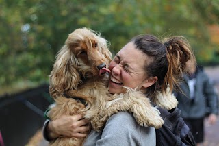 Green Dog Walking & Countryside Daycare