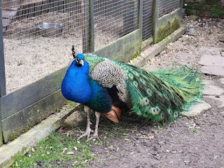 Heaton Park Animal Centre