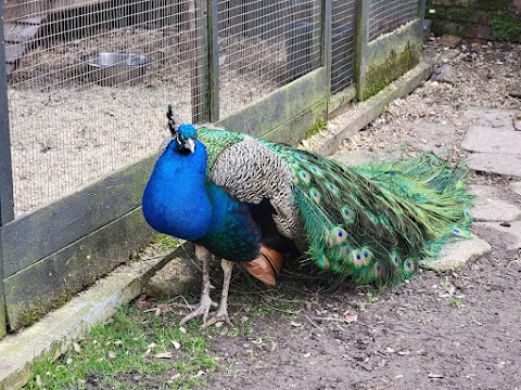 Heaton Park Animal Centre