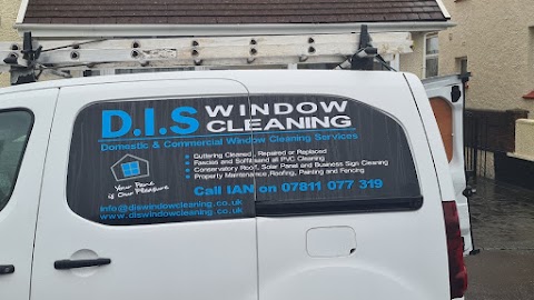 Dis window cleaning services