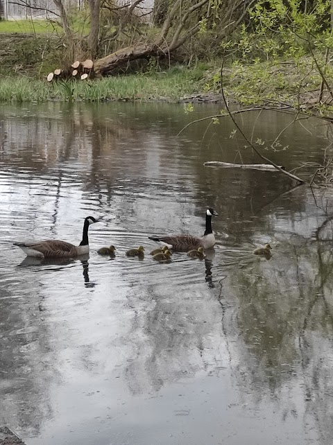 Langley Hall Park - Nature Reserve