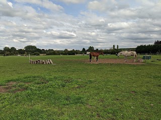 Waverley Equestrian Training Centre & The Three Bees