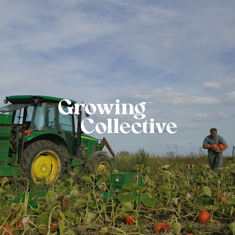 Growing Collective
