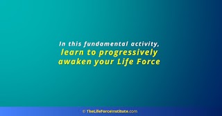 The Life Force Institute