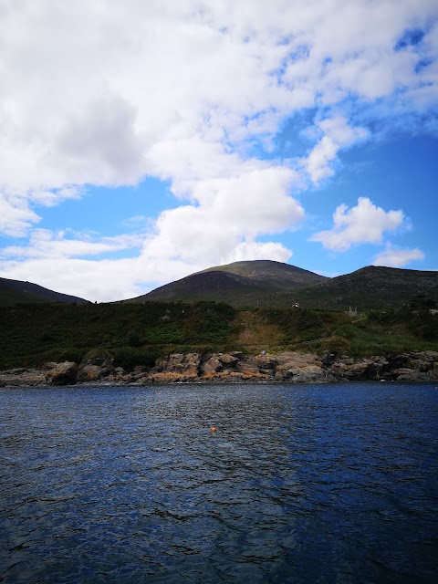 Mourne Sea Tours