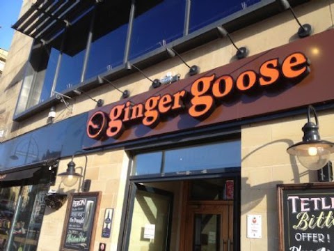 Ginger Goose