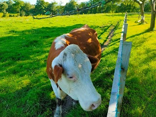 Birch Bank Farm Caravan & Campsite