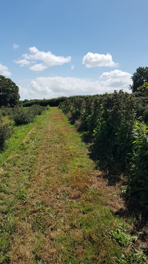 Hungers Heath Farm Ltd