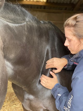 Canine & Equine Sports Massage by Lucy Deveney