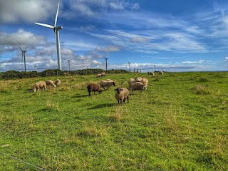 Wildlife walk