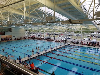 Basildon & Phoenix Swimming Club