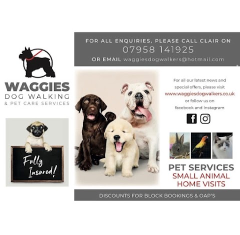 waggies dog walkers