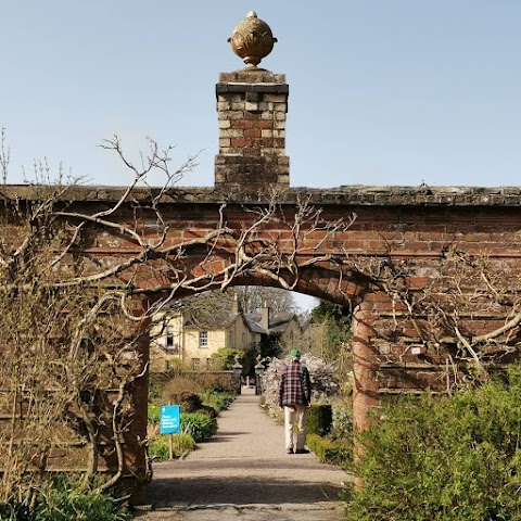 National Trust - Rowallane Garden