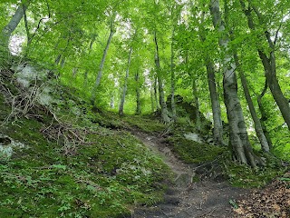 Скеля з трьома печерами