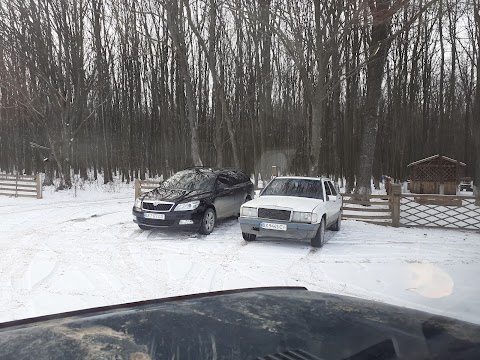 Зона відпочинку САВЧУК