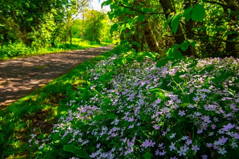 Linwater Lodges & Static Caravans