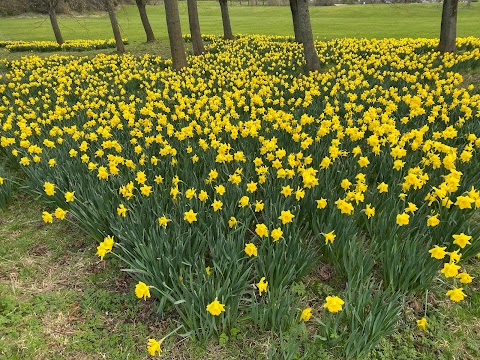 Dovecot Public Park