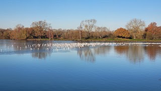 Dinton Pastures Country Park