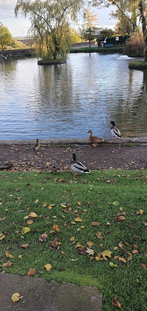 Winterbourne Duck Pond