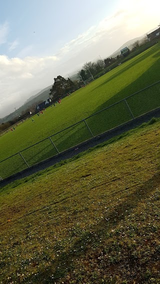 St. Malachy's, Castlewellan GAC