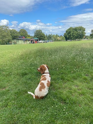 Bertie and friends