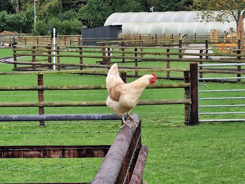 Cefn Mably Farm Park