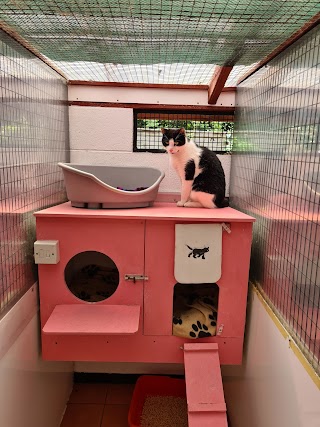 Aristocats Boarding Cattery