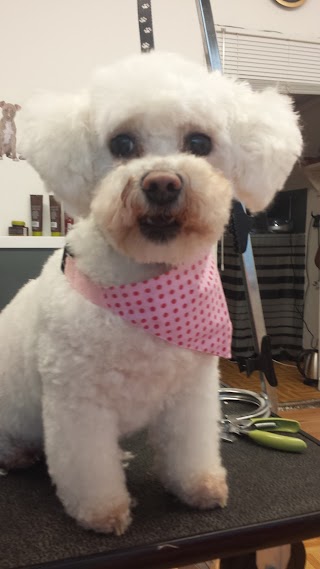 Happy Puppy Dog Grooming Studio