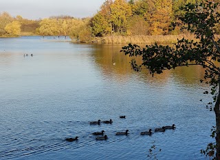 Manvers Lake