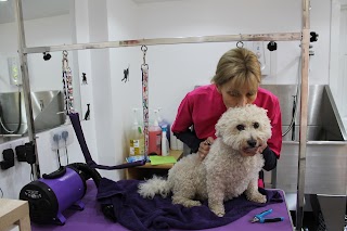 Bankside Dog Grooming