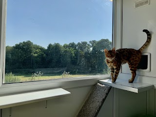 High Heath Farm Cattery