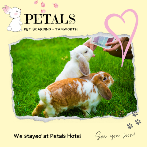 Petals Pet Boarding Services