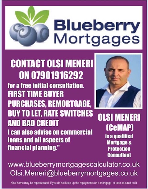 Blueberry Mortgages Watford