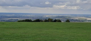 Whipsnade White Lion