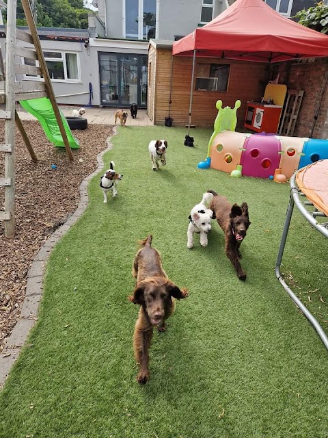 Doghouse doggie daycare & boarding